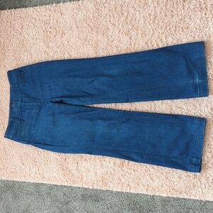 Ann Taylor LOFT Wide Leg Women's Pants 4 Petite